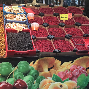 City Guide to Stockholm